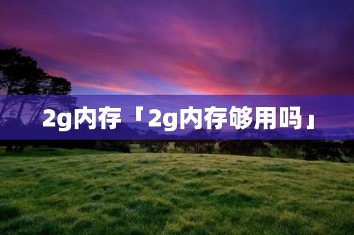 2g内存「2g内存够用吗」