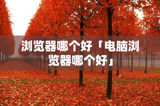 浏览器哪个好「电脑浏览器哪个好」