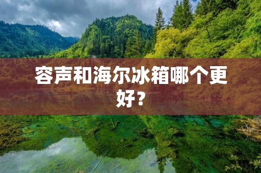 容声和海尔冰箱哪个更好？