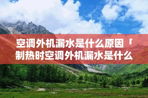 空调外机漏水是什么原因「制热时空调外机漏水是什么原因」