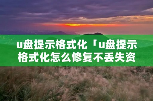 u盘提示格式化「u盘提示格式化怎么修复不丢失资料」