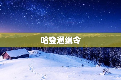 哈登通缉令：打破常规，颠覆传统的篮球天才