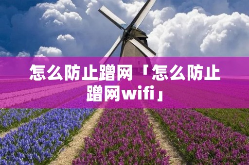 怎么防止蹭网「怎么防止蹭网wifi」