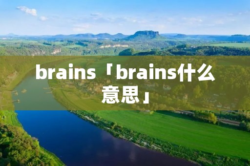 brains「brains什么意思」