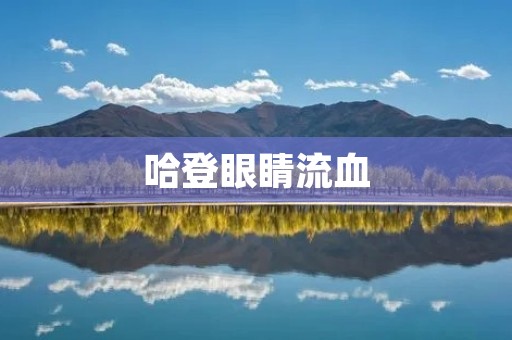 哈登眼睛流血：揭开NBA场上的血与泪