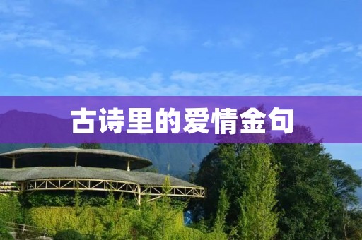 古诗里的爱情金句:穿越时空的浪漫之语 古诗里的爱情金句:穿越时空的浪漫之语