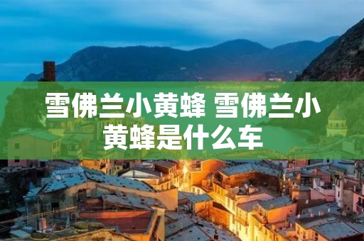 雪佛兰小黄蜂 雪佛兰小黄蜂是什么车