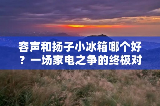 容声和扬子小冰箱哪个好？一场家电之争的终极对决