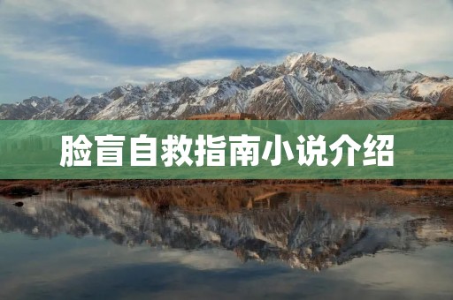 脸盲自救指南小说介绍