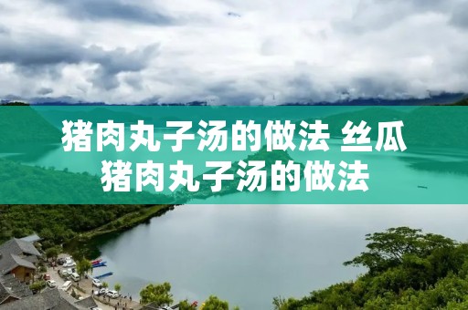 猪肉丸子汤的做法 丝瓜猪肉丸子汤的做法