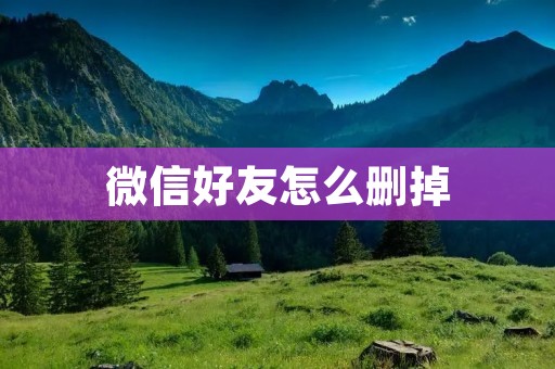 微信好友怎么删掉:从操作步骤到注意事项一网打尽 微信好友怎么删掉:从操作步骤到注意事项一网打尽