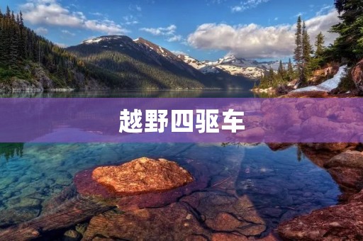越野四驱车:释放自由驰骋的热情 越野四驱车:释放自由驰骋的热情