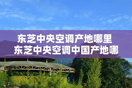 东芝中央空调产地哪里 东芝中央空调中国产地哪里
