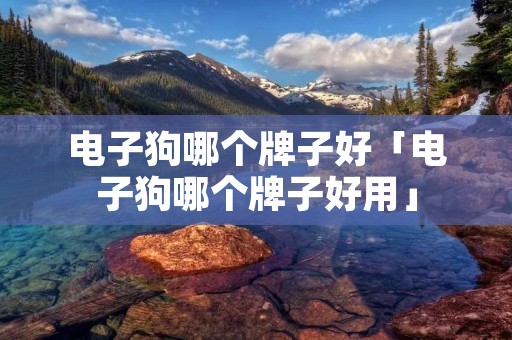 电子狗哪个牌子好「电子狗哪个牌子好用」