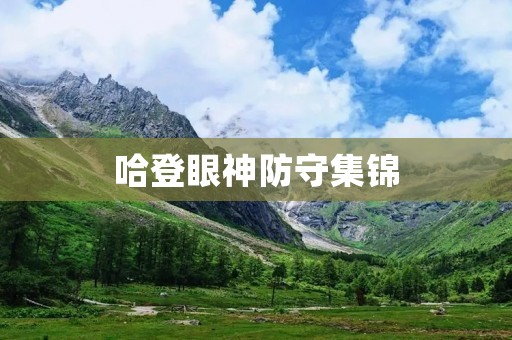 哈登眼神防守集锦：看他如何用犀利目光扼杀对手进攻