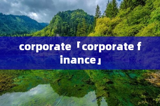 corporate「corporate finance」