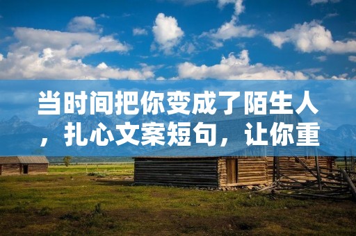 当时间把你变成了陌生人，扎心文案短句，让你重新感受到心碎的滋味。