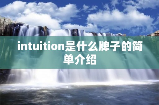 intuition是什么牌子的简单介绍 intuition是什么牌子的简单介绍