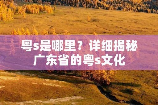 粤s是哪里?详细揭秘广东省的粤s文化 粤s是哪里?详细揭秘广东省的粤s文化