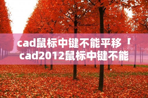 cad鼠标中键不能平移「cad2012鼠标中键不能平移」 cad鼠标中键不能平移「cad2012鼠标中键不能平移」