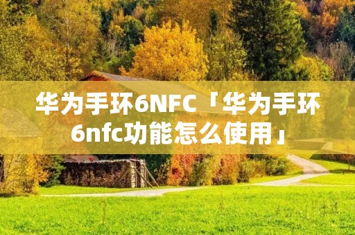 华为手环6NFC「华为手环6nfc功能怎么使用」 华为手环6NFC「华为手环6nfc功能怎么使用」