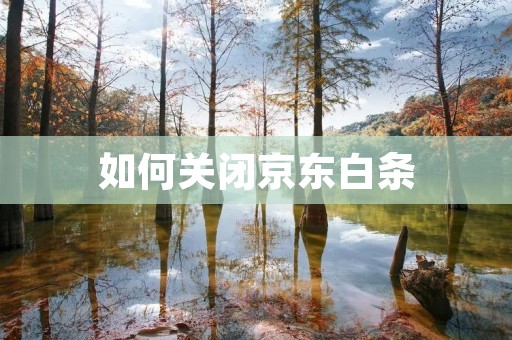 如何关闭京东白条