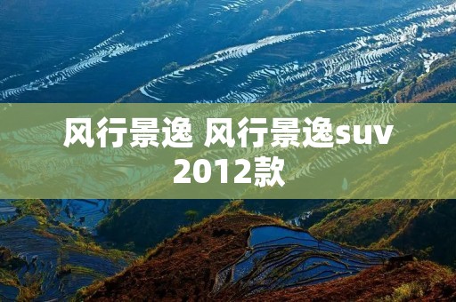 风行景逸 风行景逸suv2012款 风行景逸 风行景逸suv2012款