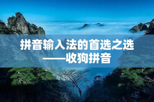 拼音输入法的首选之选——收狗拼音