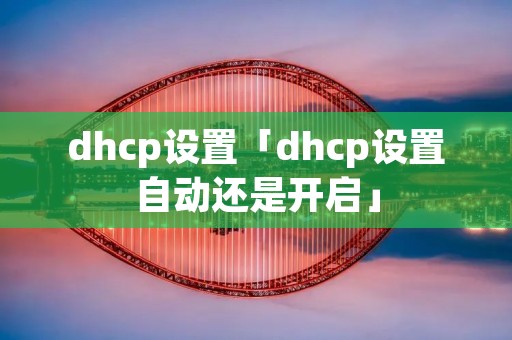 dhcp设置「dhcp设置自动还是开启」