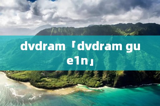dvdram「dvdram gue1n」