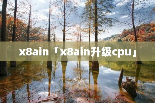 x8ain「x8ain升级cpu」