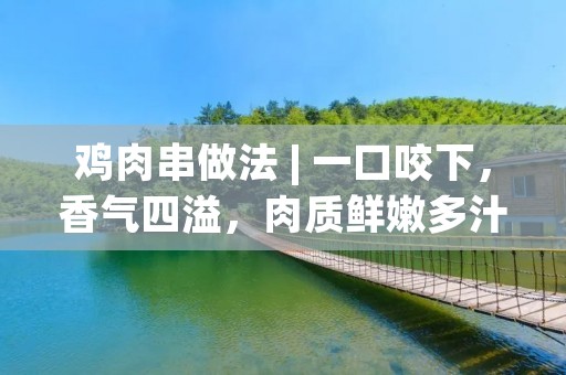 鸡肉串做法 | 一口咬下，香气四溢，肉质鲜嫩多汁