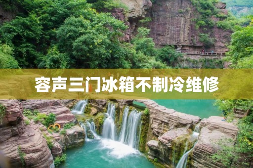 容声三门冰箱不制冷维修：详细解决方法分享