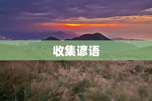 收集谚语:一窥智慧的千言万语