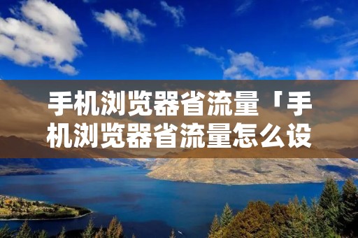 手机浏览器省流量「手机浏览器省流量怎么设置」
