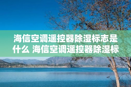 海信空调遥控器除湿标志是什么 海信空调遥控器除湿标志是什么样子
