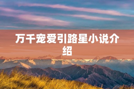万千宠爱引路星小说介绍
