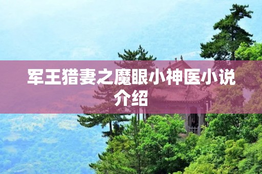 军王猎妻之魔眼小神医小说介绍