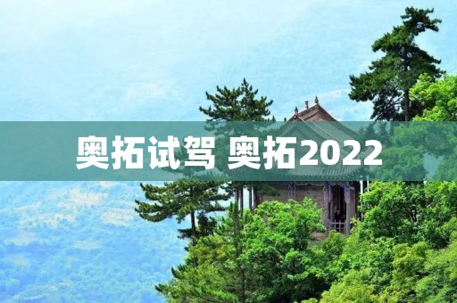 奥拓试驾 奥拓2022