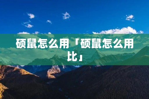 硕鼠怎么用「硕鼠怎么用比」