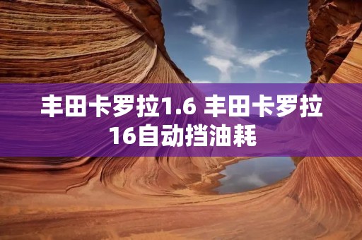 丰田卡罗拉1.6 丰田卡罗拉16自动挡油耗