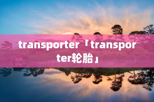 transporter「transporter轮胎」 transporter「transporter轮胎」
