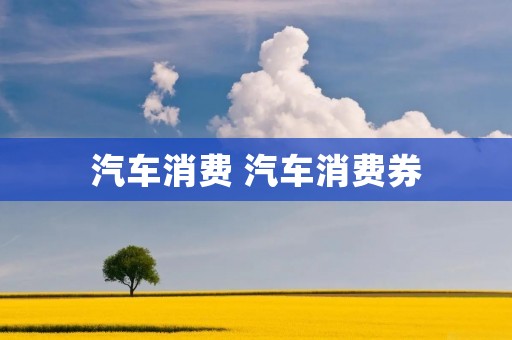 汽车消费 汽车消费券