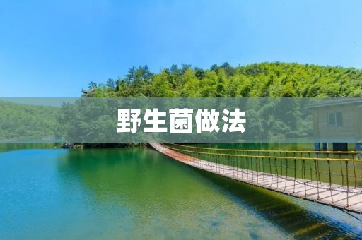 野生菌做法:丰富口感,尽享美味 野生菌做法:丰富口感,尽享美味