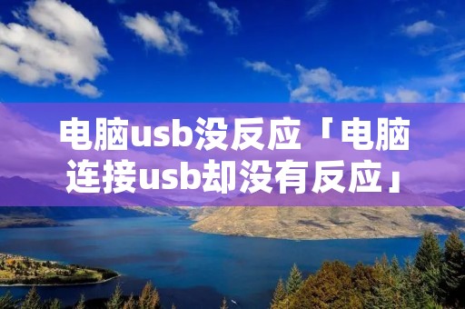 电脑u**没反应「电脑连接u**却没有反应」