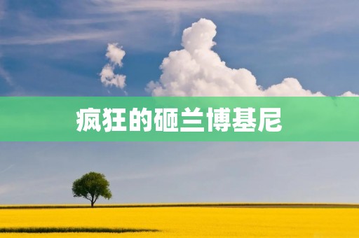 疯狂的砸兰博基尼：当豪车成为破坏的牺牲品