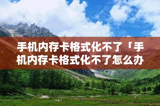 手机内存卡格式化不了「手机内存卡格式化不了怎么办」