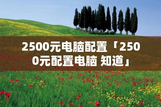 2500元电脑配置「2500元配置电脑 知道」