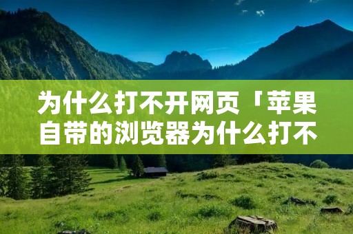 为什么打不开网页「苹果自带的浏览器为什么打不开网页」