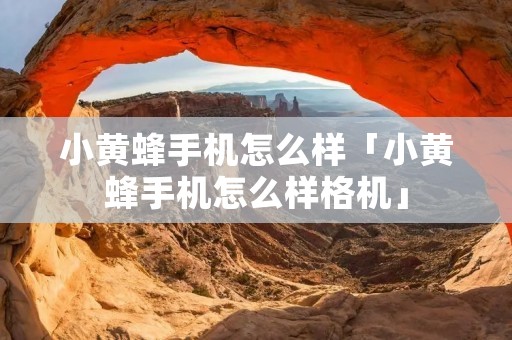 小黄蜂手机怎么样「小黄蜂手机怎么样格机」 小黄蜂手机怎么样「小黄蜂手机怎么样格机」